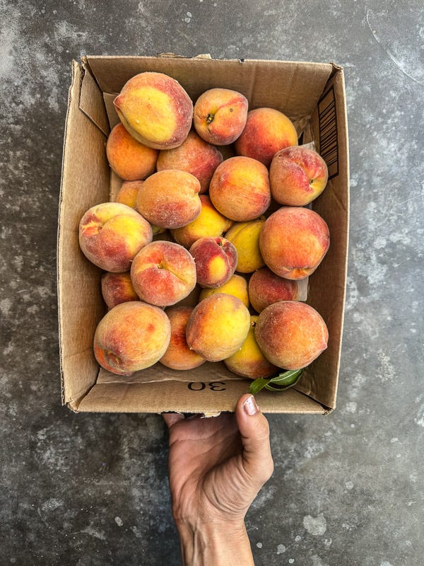 My Everyday Life Week 30 of 2025- Tracy Benjamin of Shutterbean.com