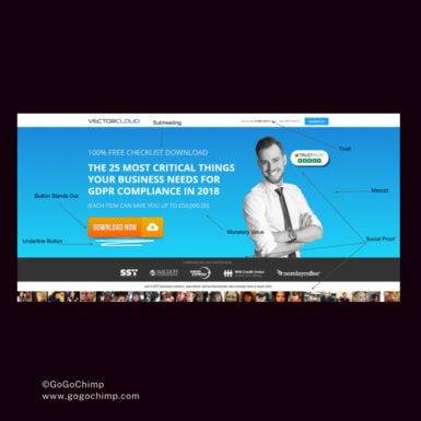 High converting landing page example and breakdown.