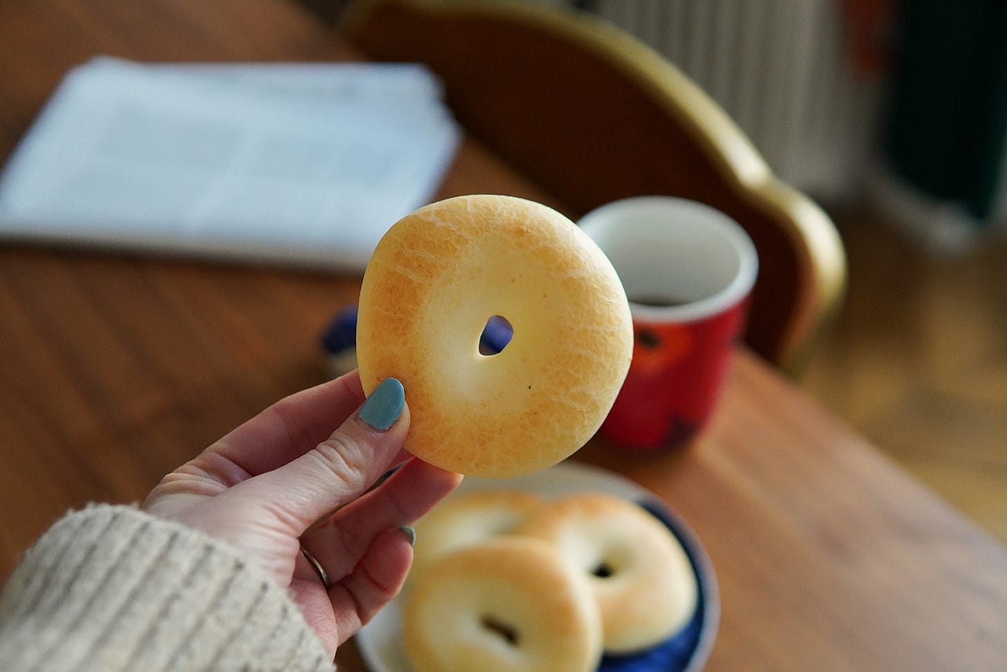 LZK-1LHS-pandebono-01.jpg