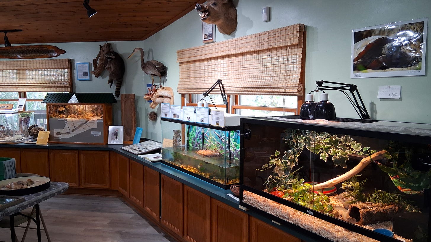 Margaret Hames Nature Center, Turkey Creek, Palm Bay, Florida