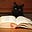 joannemarcoe's avatar