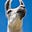 Linda's Llama's avatar