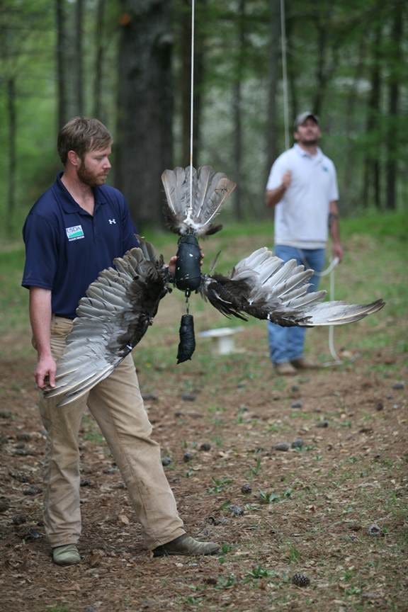 A person holding a bird

AI-generated content may be incorrect.