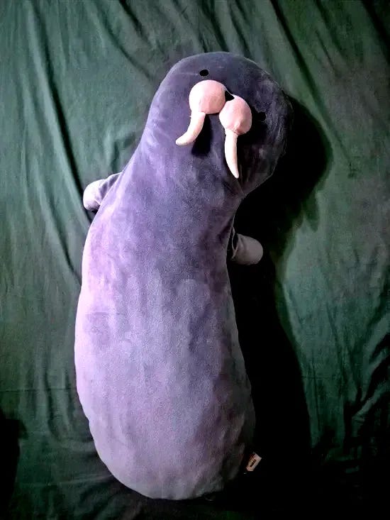 walrus plushie