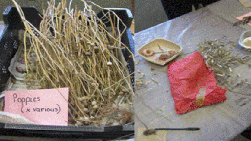 A close-up of a pile of twigs

AI-generated content may be incorrect.