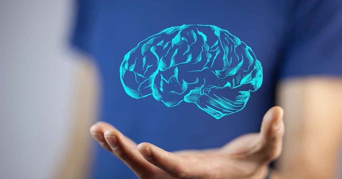 Man hand brain