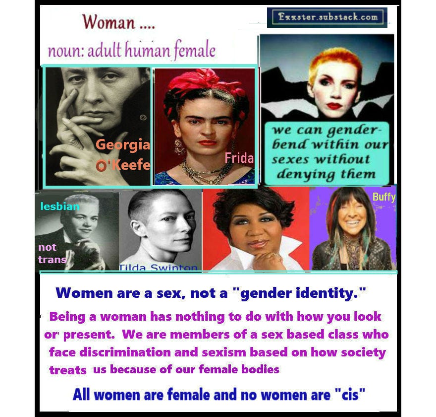 Woman noun: adult human female