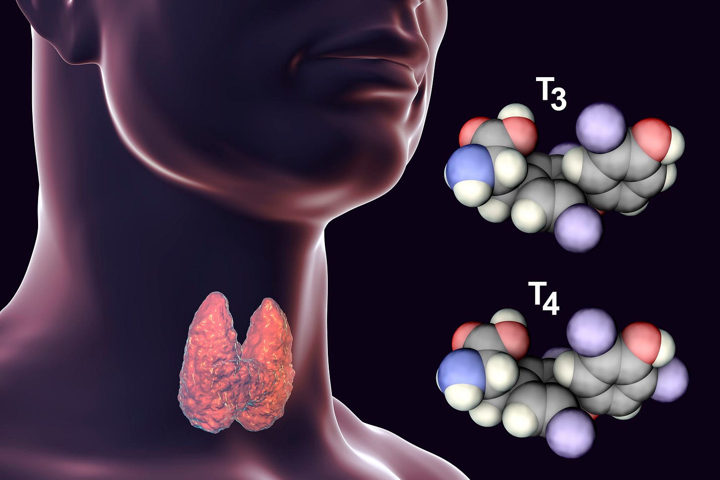 https://www.verywellhealth.com/thmb/c_Y0CMsnpjWI3nYgZCrBYpjvJd4=/2121x1414/filters:fill(87E3EF,1)/GettyImages-1086884334-0fa3d8a24fc745a9b20dd4817a471979.jpg