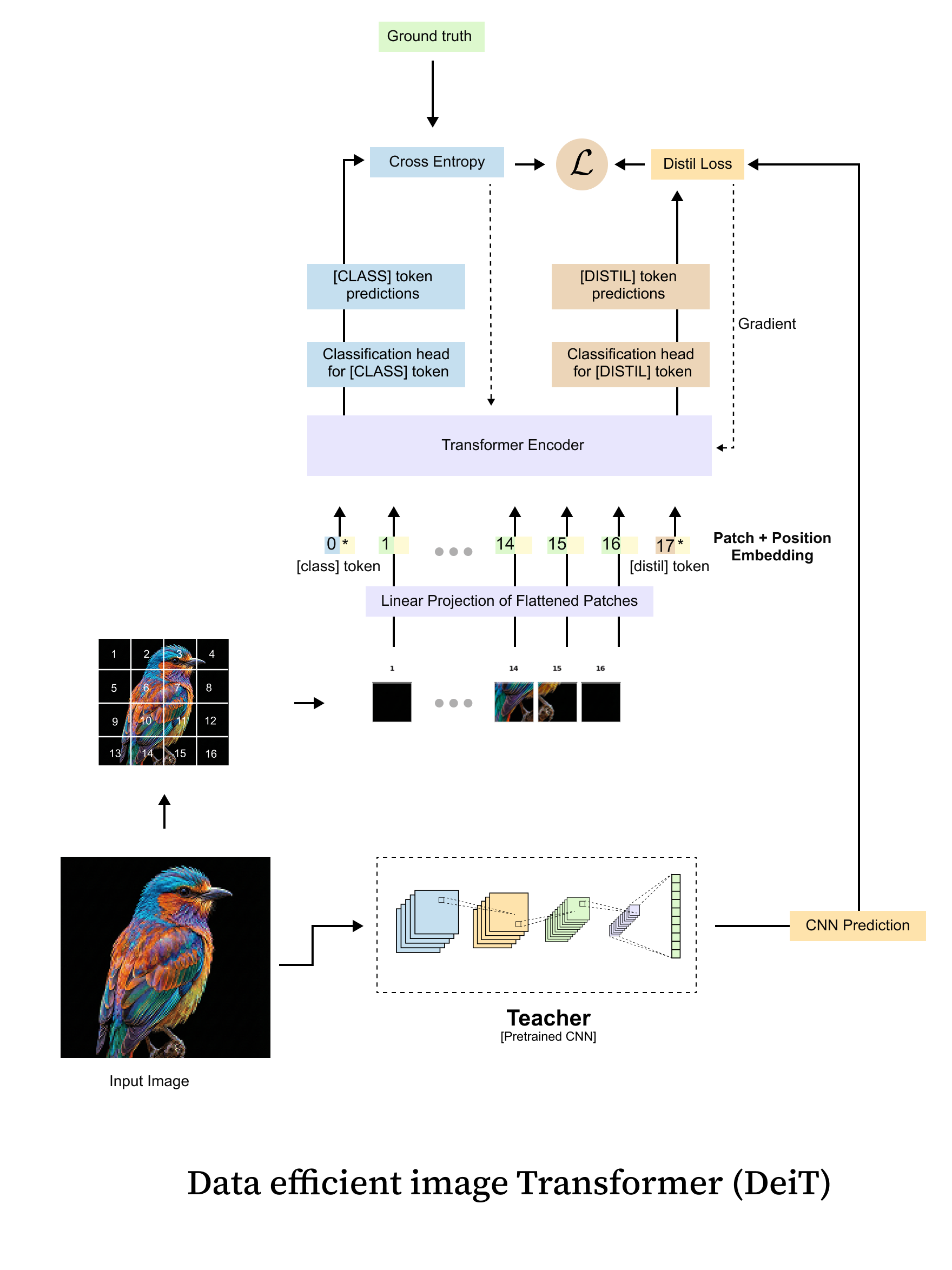 Knowledge Distillation & Data-Efficient Image Transformers