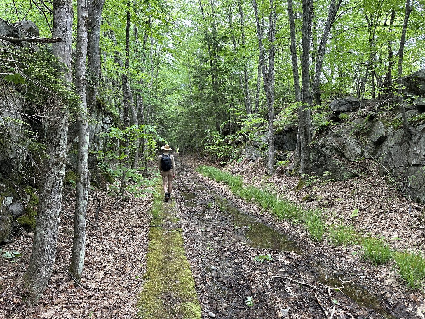 A Trek Along the Cocheco Railroad