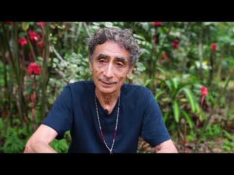 Gabor Maté and Ayahuasca — NewBuddhist