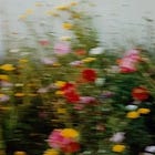 five things i found interesting this week