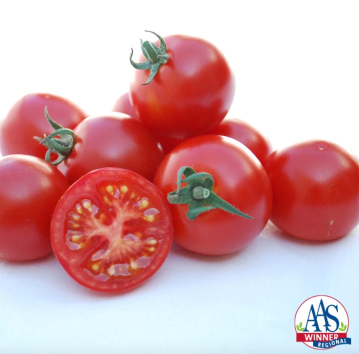 2025 Tomato Review ShowAnd More! - by Fred Hoffman