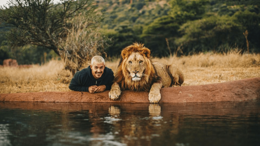 Living with Lions in South Africa