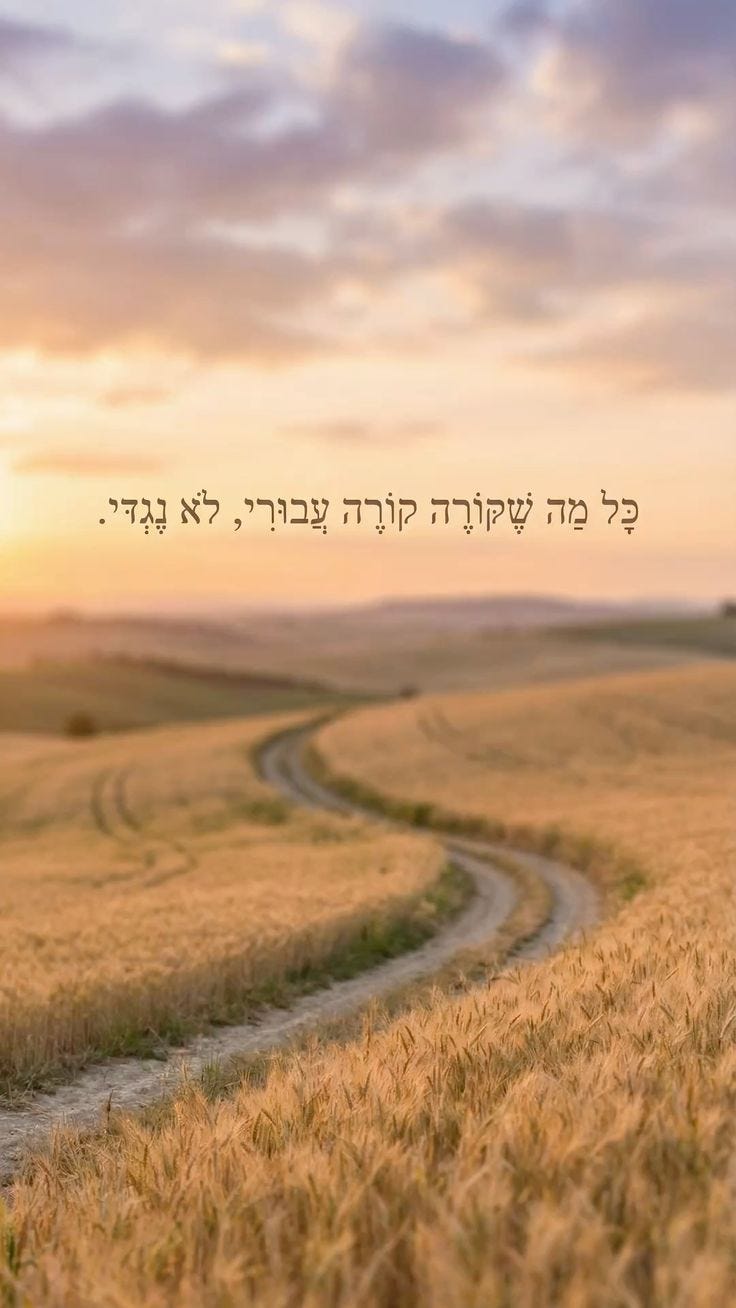 May be an image of grass, horizon and text that says 'כל ולמה מה שקורה קורה עבורי, לא נגדי.' May be an image of grass, horizon and text that says 'כל ולמה מה שקורה קורה עבורי, לא נגדי.'