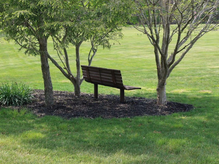 A wooden bench beneath spring trees overlooking a wide green field, evoking the quiet presence of grief beside the beauty of the season. A wooden bench beneath spring trees overlooking a wide green field, evoking the quiet presence of grief beside the beauty of the season.