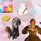 Small things that are cheering me up | #2 🧛🏻‍♂️ 