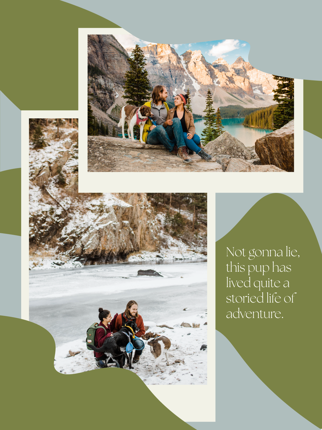 two photos of a couple hiking in the mountains with their dogs