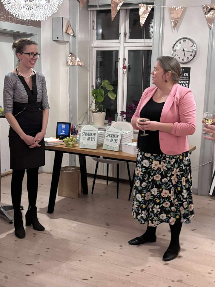 Sprækker af lys bogreception