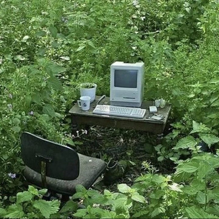 Left: plants thriving inside the train while people are riding. Right: a workspace in bushy areas.
