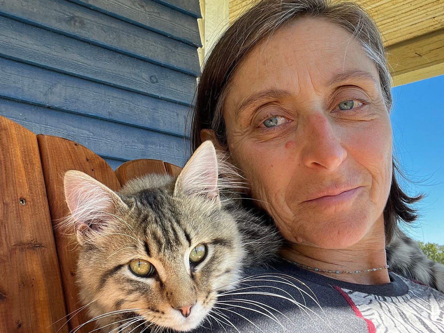Cat lays on neck