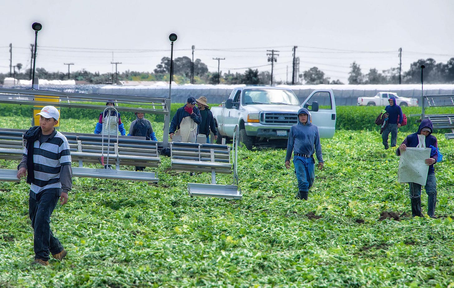 As masses of plaintiffs pursue Roundup cancer compensation, migrant farmworkers are left out - EHN As masses of plaintiffs pursue Roundup cancer compensation, migrant farmworkers are left out - EHN