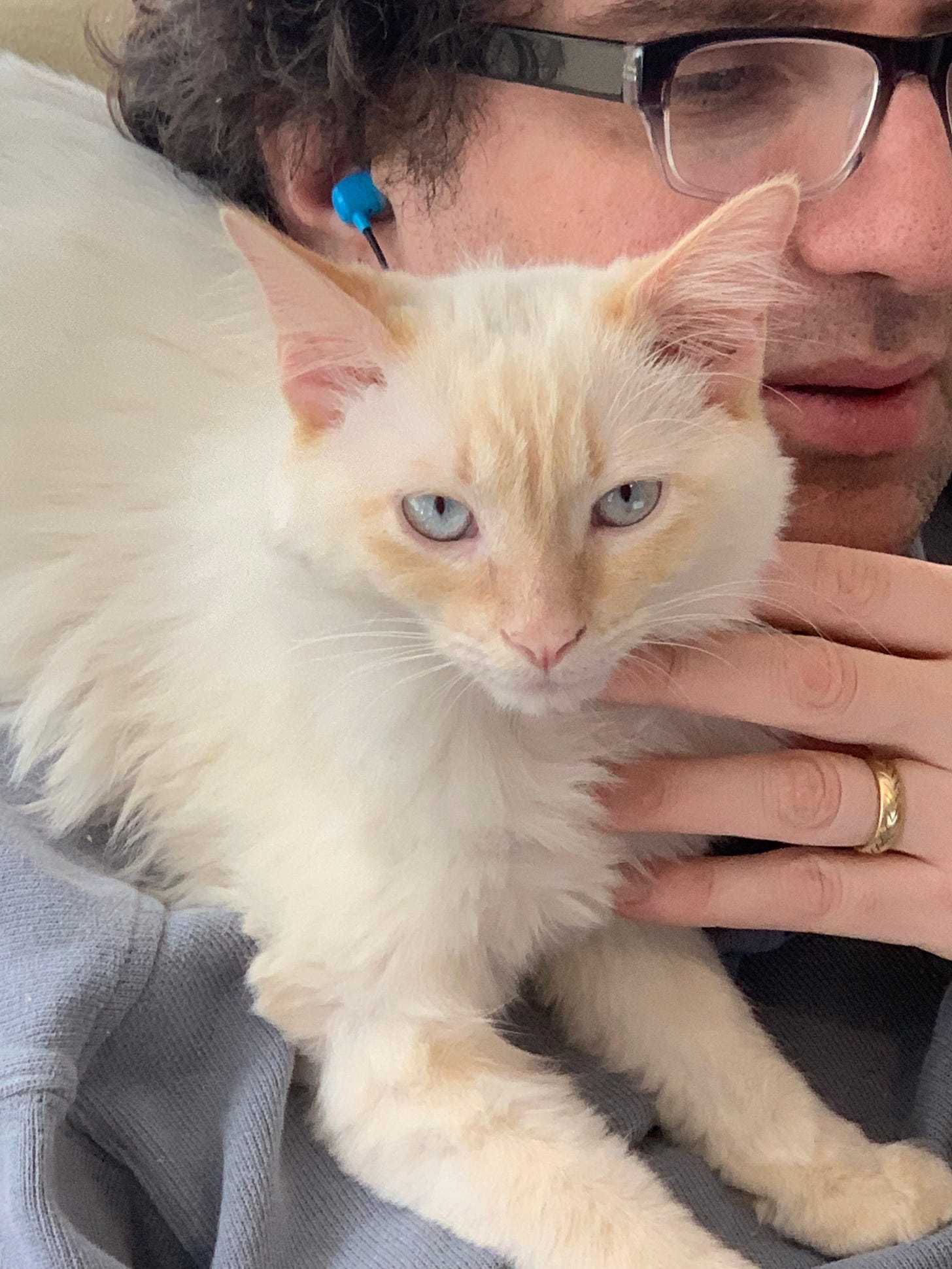 close up of me with a white kitty on my shoulder
