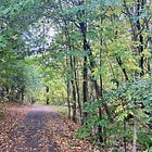 Editorial: Owen Sound Needs a Safe Consumption Site — With One Non‑Negotiable Condition