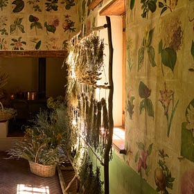 An apothecary, the lightest shade of pink, and lemon pasta