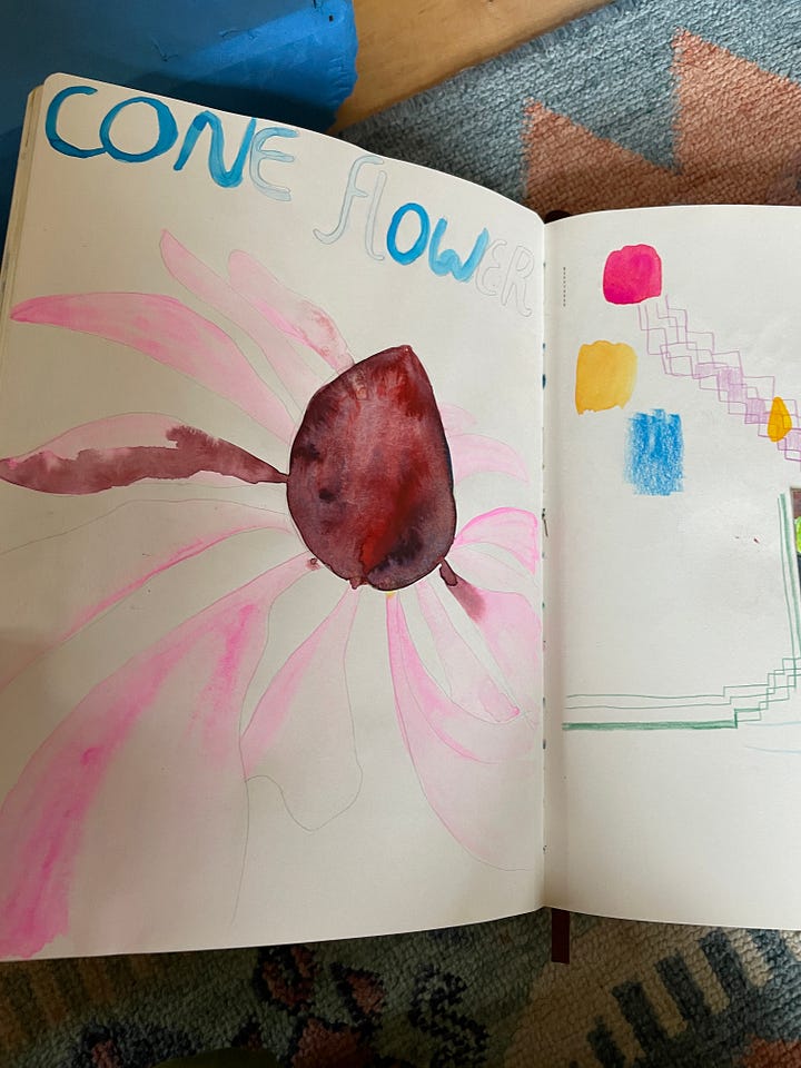 drawings of flowers in pencil, watercolor, and gouache