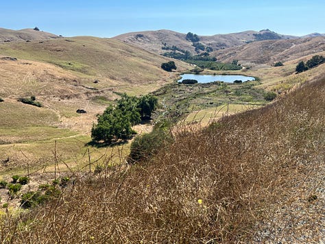 photos of the landscape from my hike