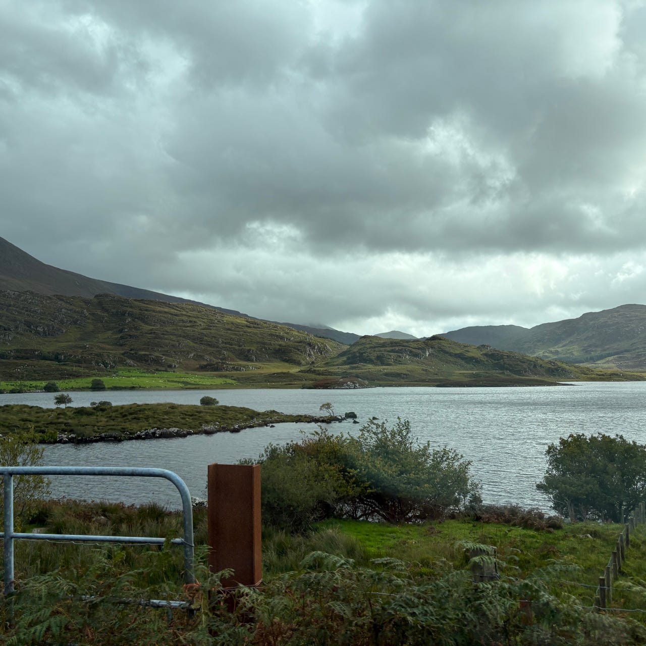 @LoveLettersfromaNewfoundlander