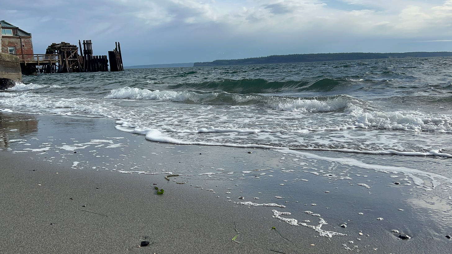 Landscape photograph of a beach in Washington State.
