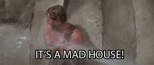 Its A Madhouse GIFs - Find & Share on GIPHY
