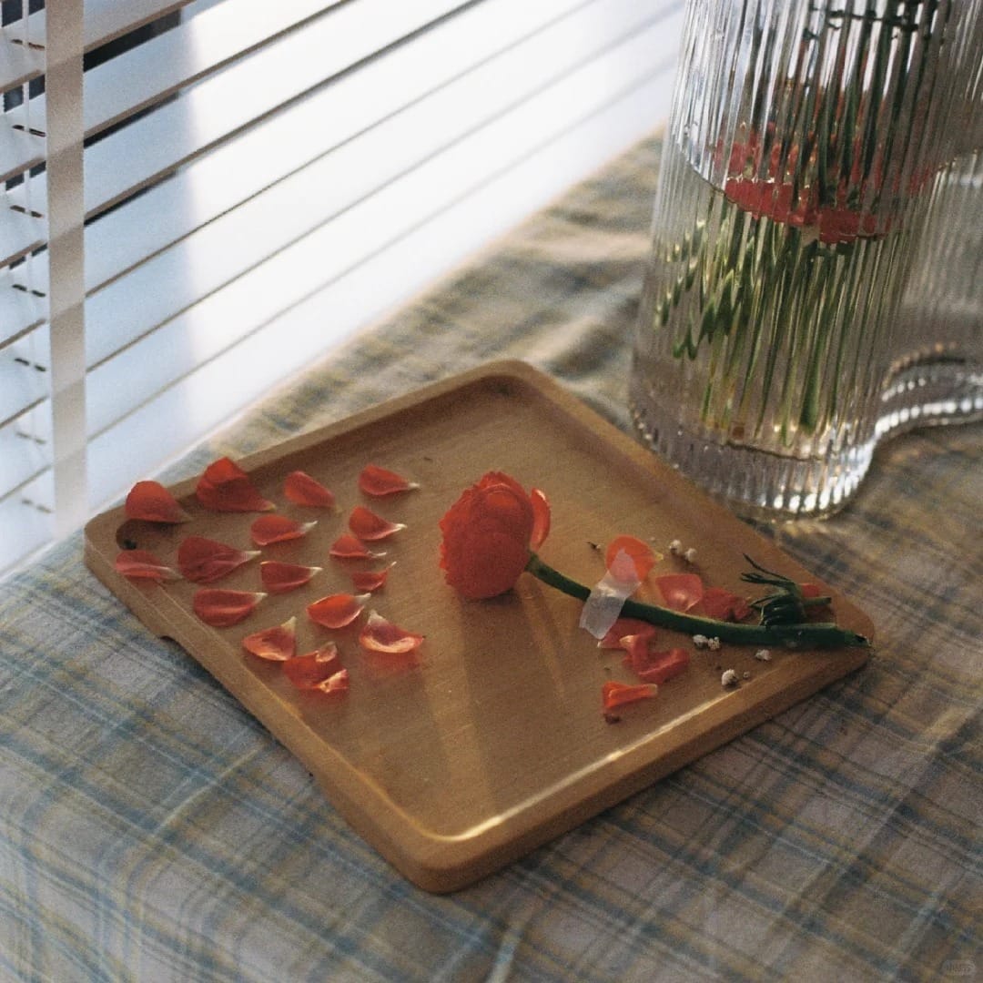 她和她的胶片相机