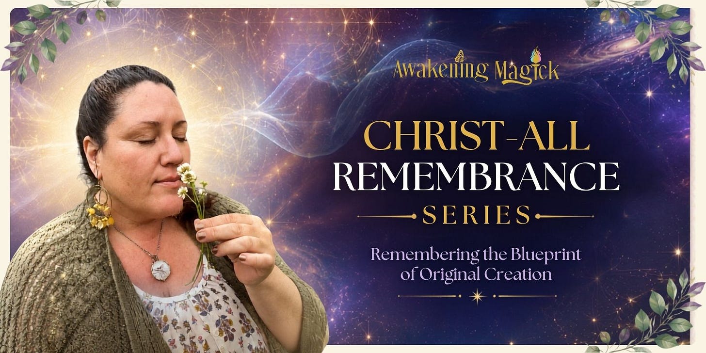 The ChristAll Remembrance Series by Natalie Viglione