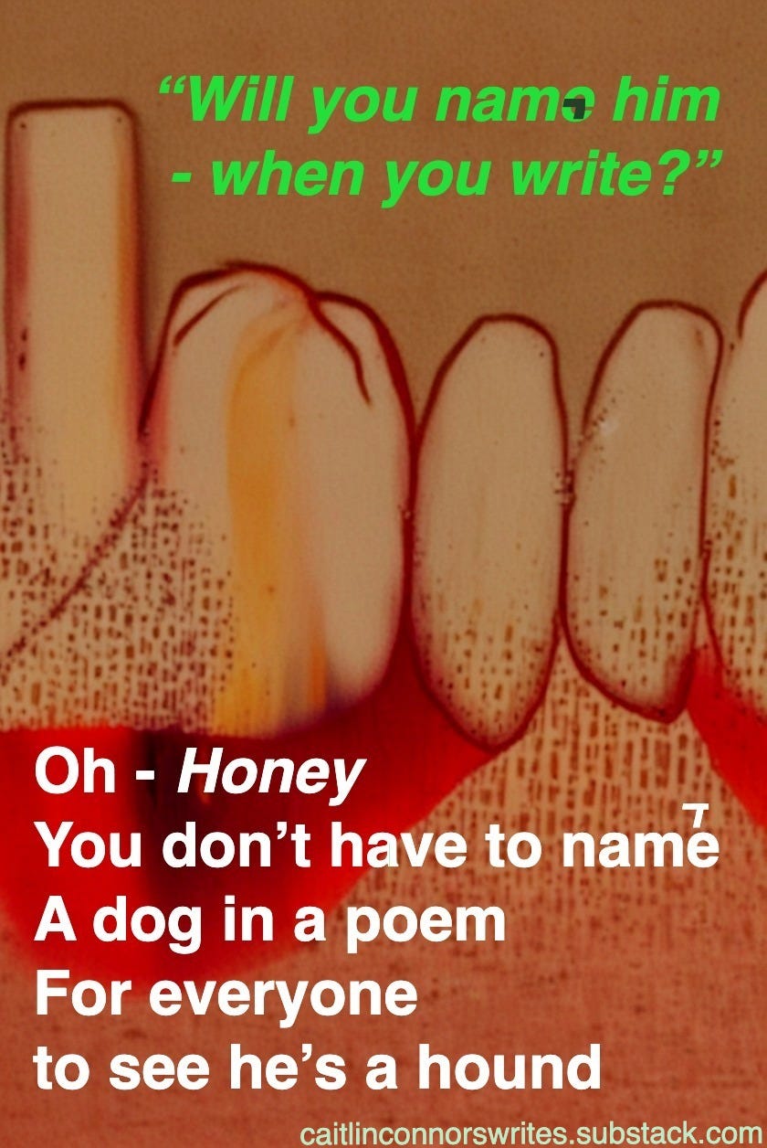 "Will you name him/when you write?"/"Oh - HONEY/You don't have to name/the dog in the poem/for everyone to see/he's a hound."