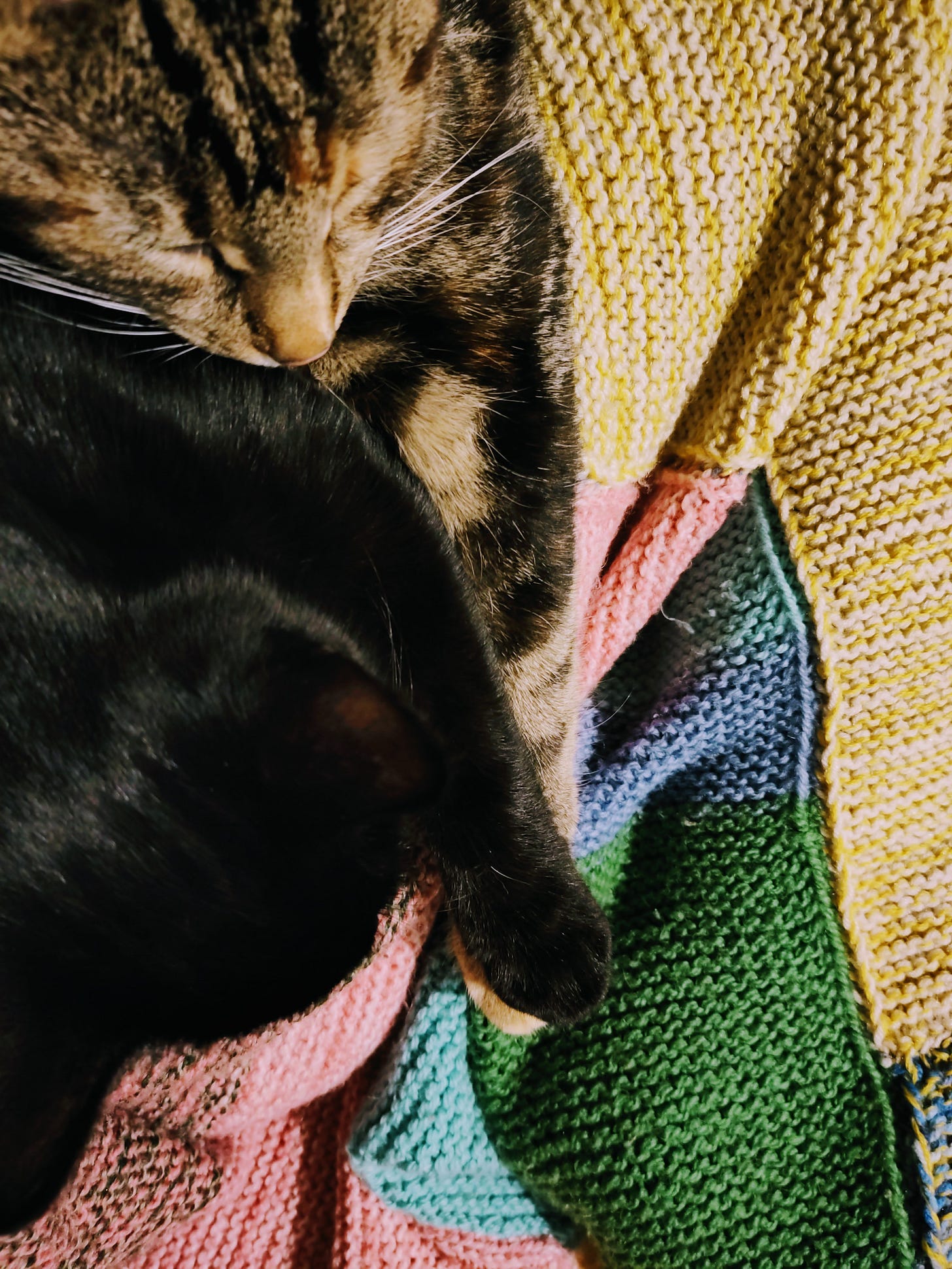 Two cats, one calico and one black cat, are sleeping on a knitted blanket.