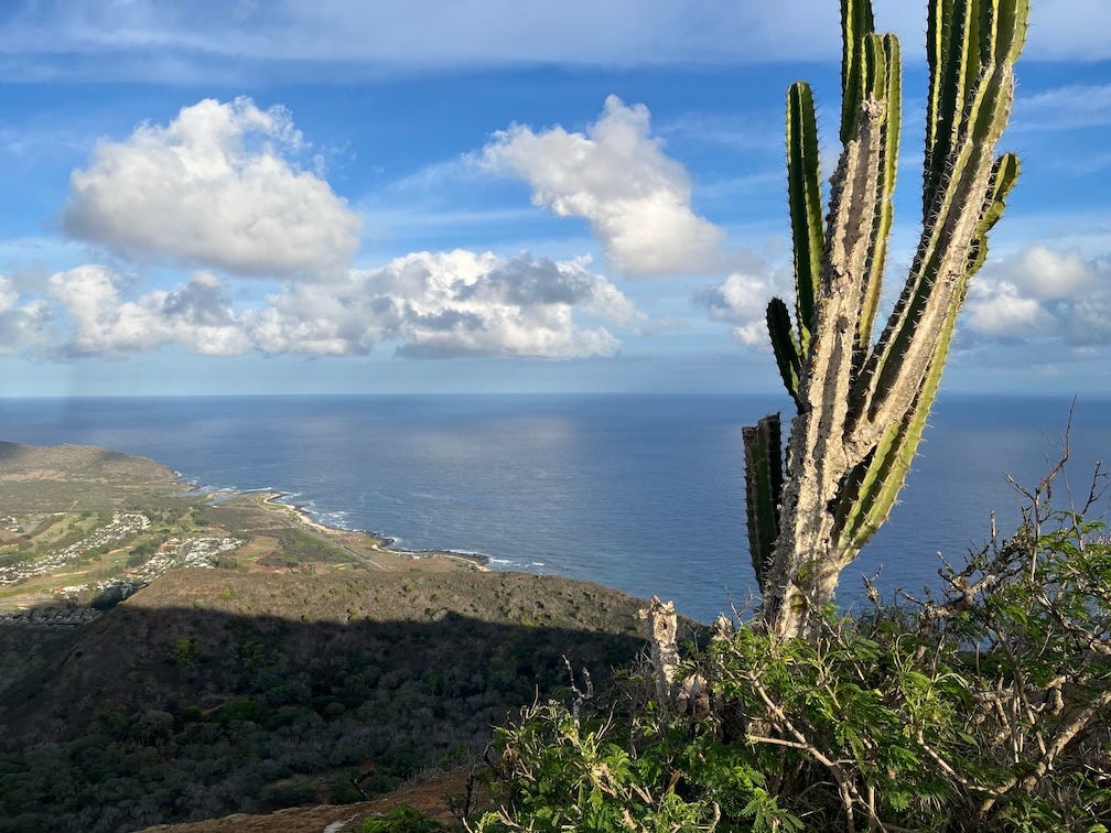 The Pacific Ocean seen on a sunny day seen from across a deep, shadowed crater. Their are fluffy clouds above the horizon. On the right side of the image, a tall, spiky cactus grows on the rim of the crater. The Pacific Ocean seen on a sunny day seen from across a deep, shadowed crater. Their are fluffy clouds above the horizon. On the right side of the image, a tall, spiky cactus grows on the rim of the crater.