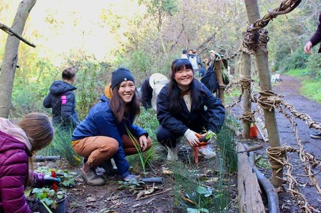FOSC volunteers plant natives behind fencing woven from pulled Algerian ivy in Dimond Canyon. (Photo: Phoebe Vo) FOSC volunteers plant natives behind fencing woven from pulled Algerian ivy in Dimond Canyon. (Photo: Phoebe Vo)
