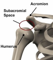 Subacromial Space | Shoulder Anatomy | Orthopaedic Surgery ...
