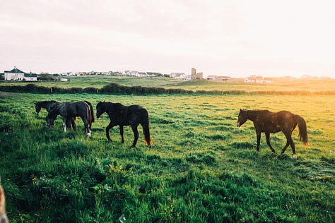Ireland in Fuji photographs by Tyler Knott Gregson