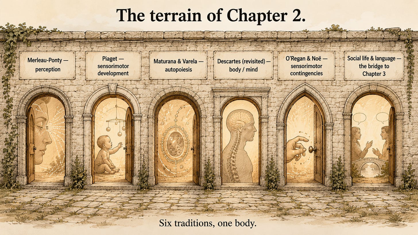 Six rich traditions to look inside that affect cognition. Six rich traditions to look inside that affect cognition.