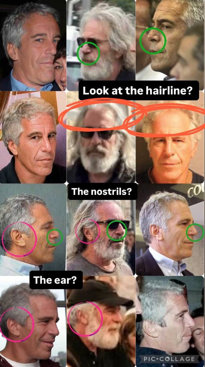 An image with several portraits of men who look similar to each other, with certain facial features such as hairline, nose and ears highlighted, marked with colored circles and text comments.