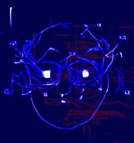 Substack profile picture for @flak