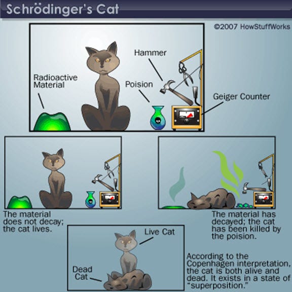 Quantum Computers and Schrödinger's Cat – Michael Sandberg's Data  Visualization Blog