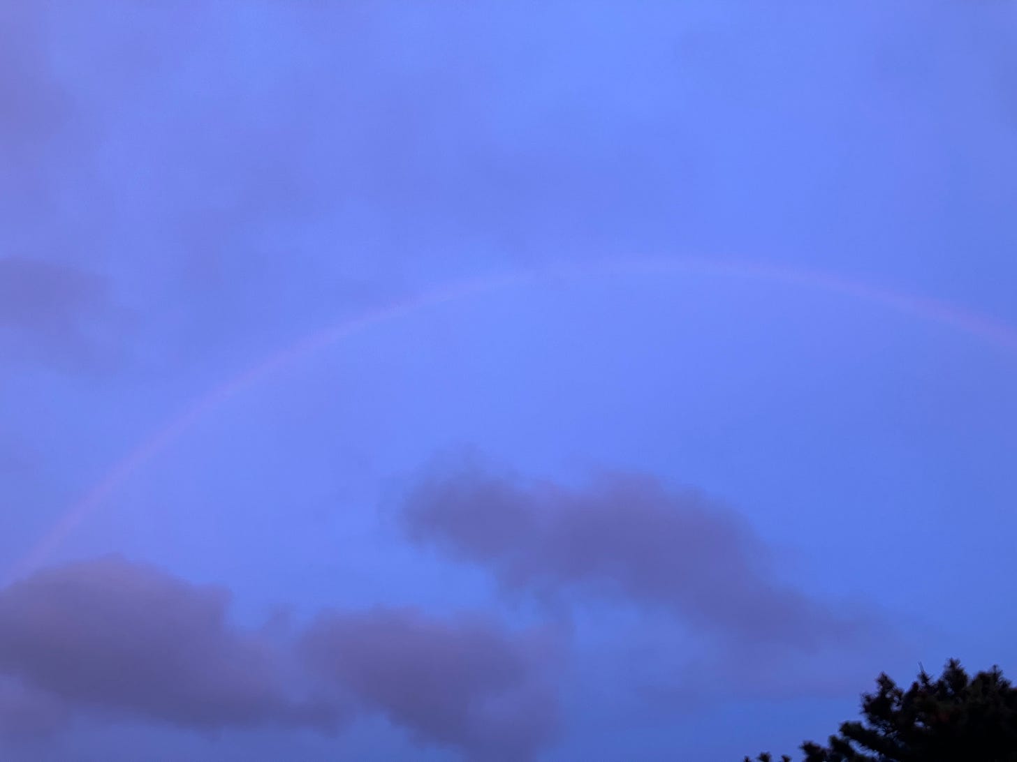 faint rainbow crossing lavender sky into trees