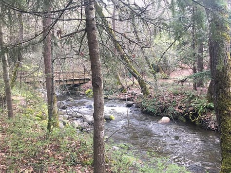 Fall foliage and river in Lithia Park