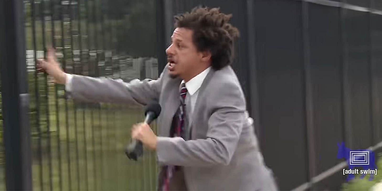 Eric Andre pulling on fence at DNC