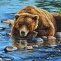 William Ursus's avatar